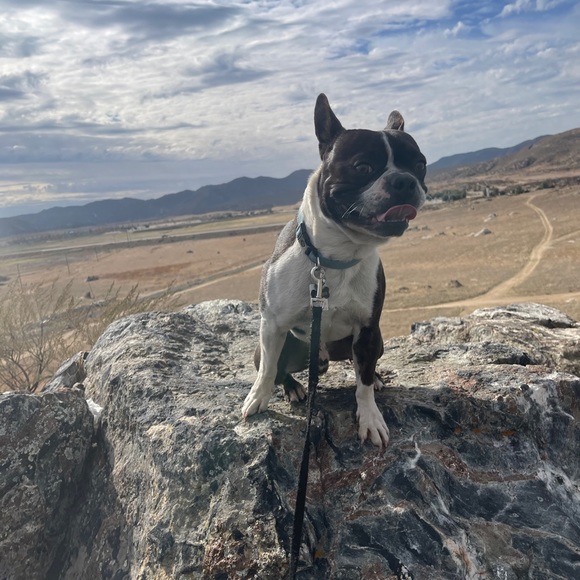 Meet your Posher, Daniel - Picture 1 of 1